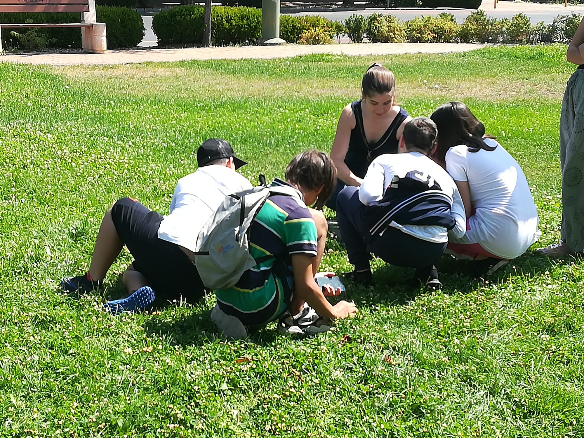 Rovarászás Szegeden a Szent István téren