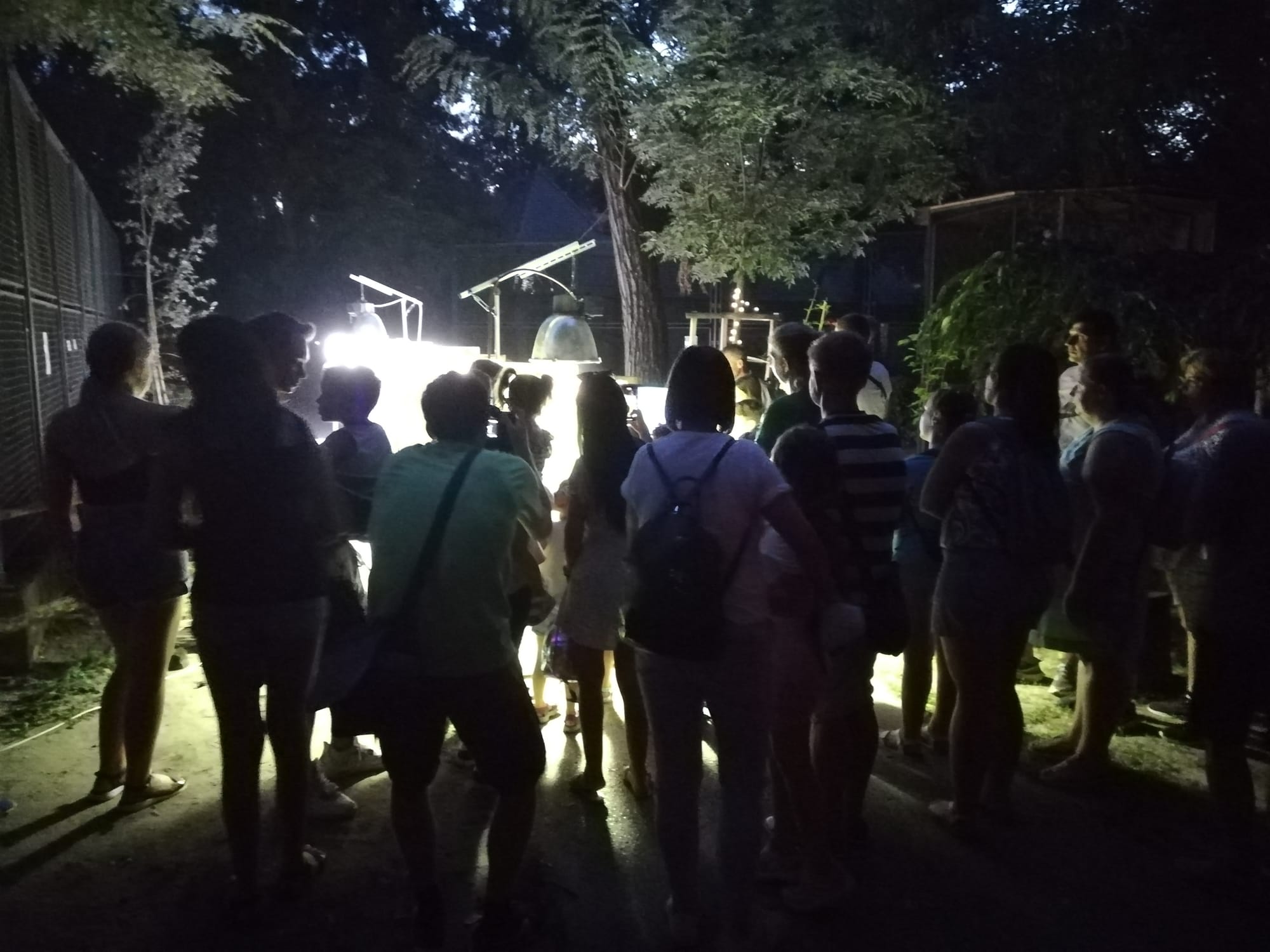 Állatkertek éjszakája a Kecskeméti Vadaskertben - 2024