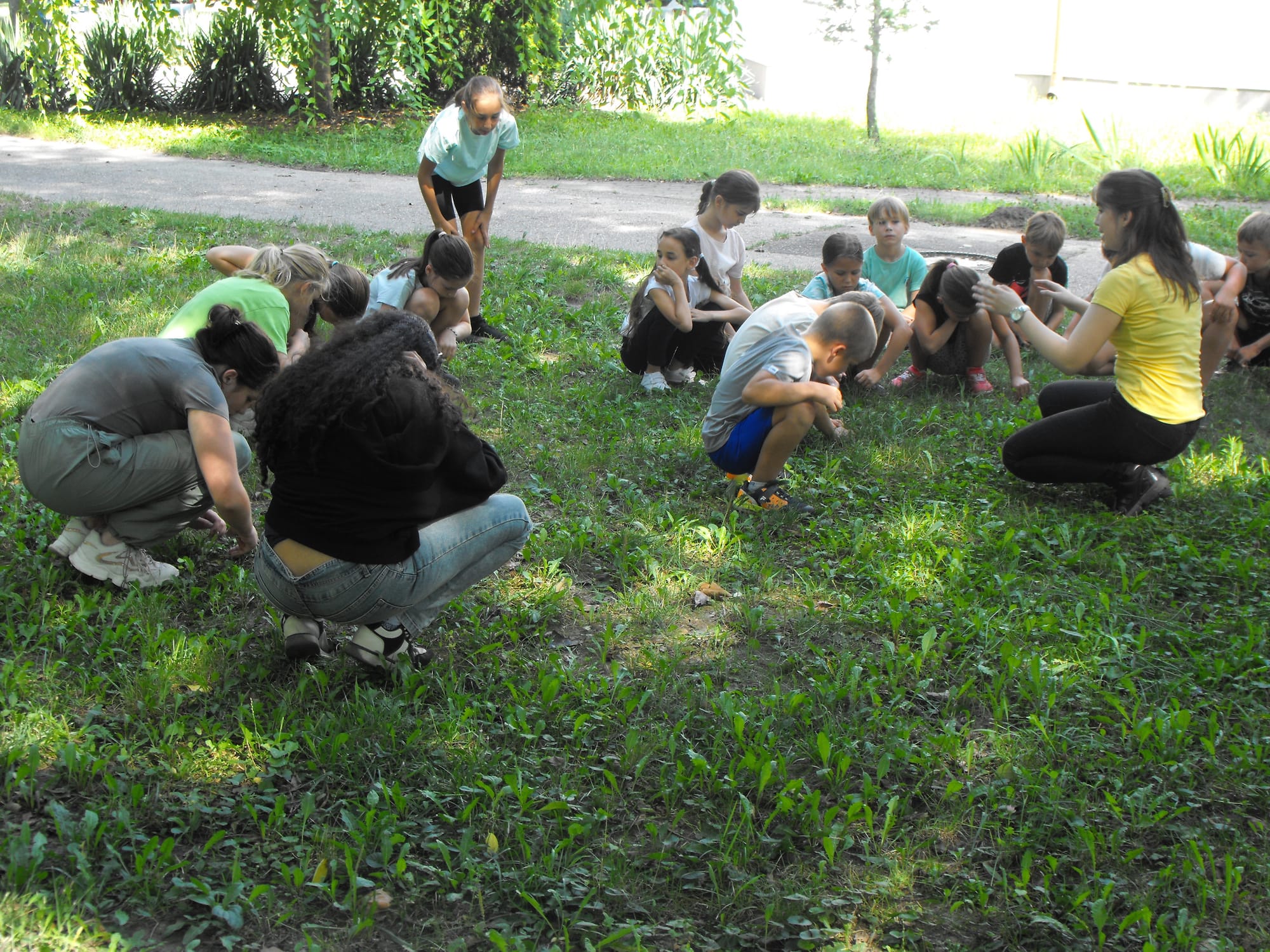 Táborozós rovarászások - 2024 - Kecskemét