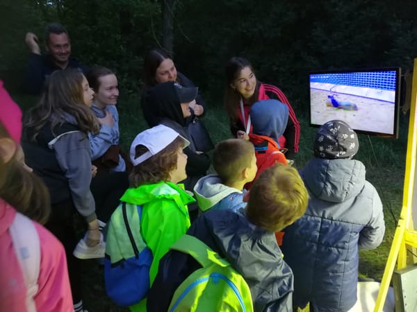 Éjszaka a Szeged-Szőreg Budzsáki erdőben - 2025