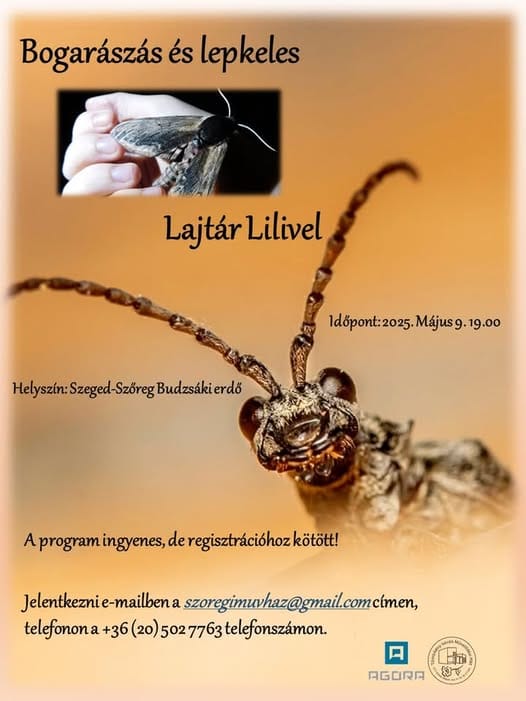 Rovarászás lesz 2025.05.09-én Szeged-Szőregen a Budzsáki erdőben!