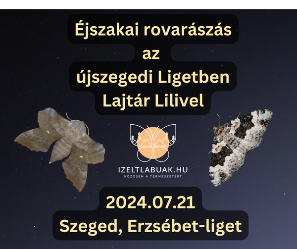 Rovarászás lesz 2024.07.21-én Szegeden a Ligetben!
