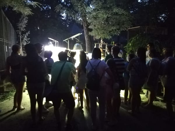 Állatkertek éjszakája a Kecskeméti Vadaskertben - 2024