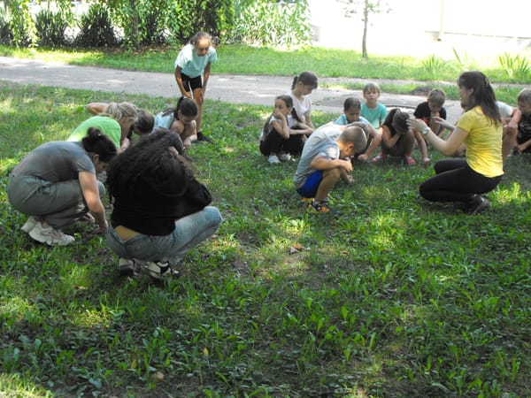 Táborozós rovarászások - 2024 - Kecskemét