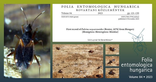 Fulvius oxycarenoides - publikáció