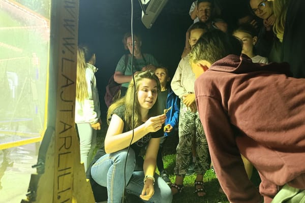 Nem mindennapi látvány fogadta azokat, akik sötétedés után az újszegedi ligetbe mentek