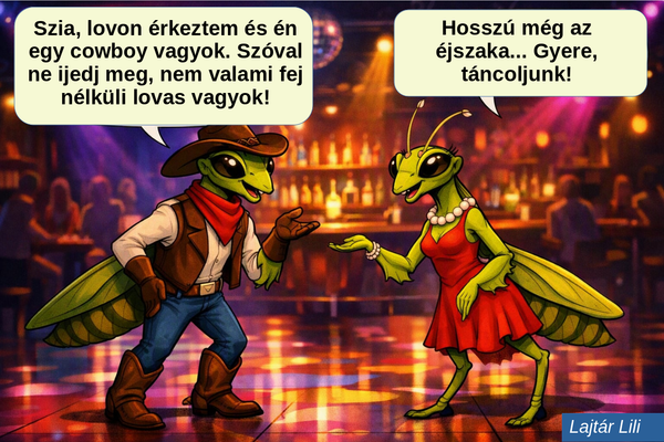Fej nélküli lovas